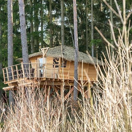 Treehouse U Rybnika Hotel Osecna Екстериор снимка