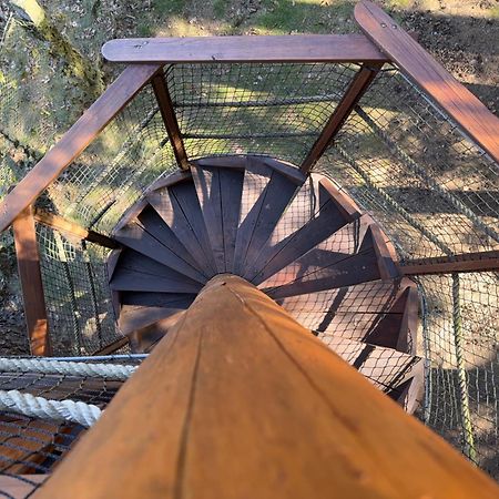 Treehouse U Rybnika Hotel Osecna Екстериор снимка
