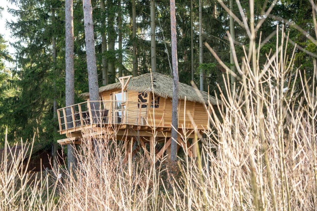 Treehouse U Rybnika Hotel Osecna Екстериор снимка